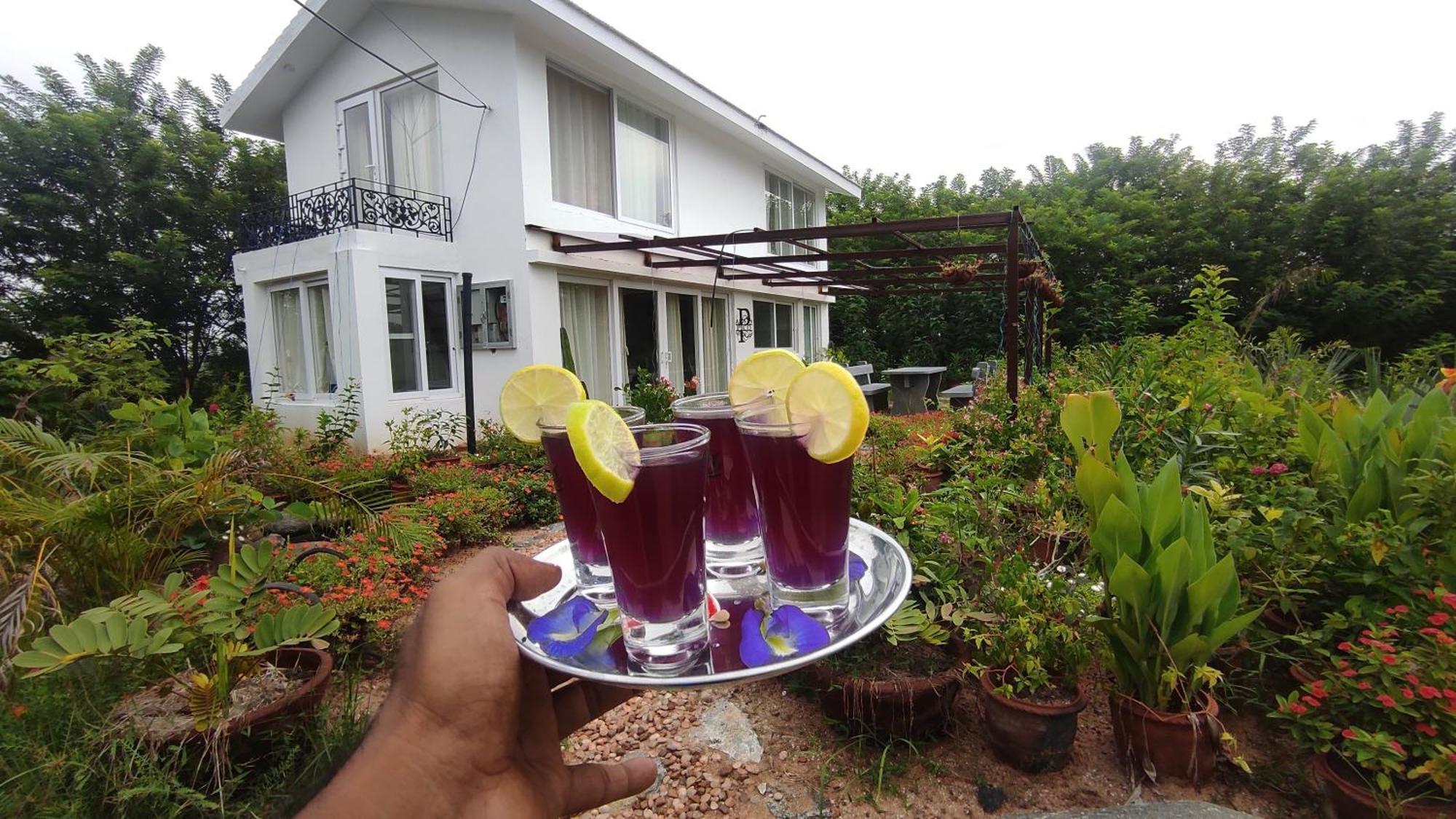 Vaksana Farm Stay Gudraippattu Extérieur photo