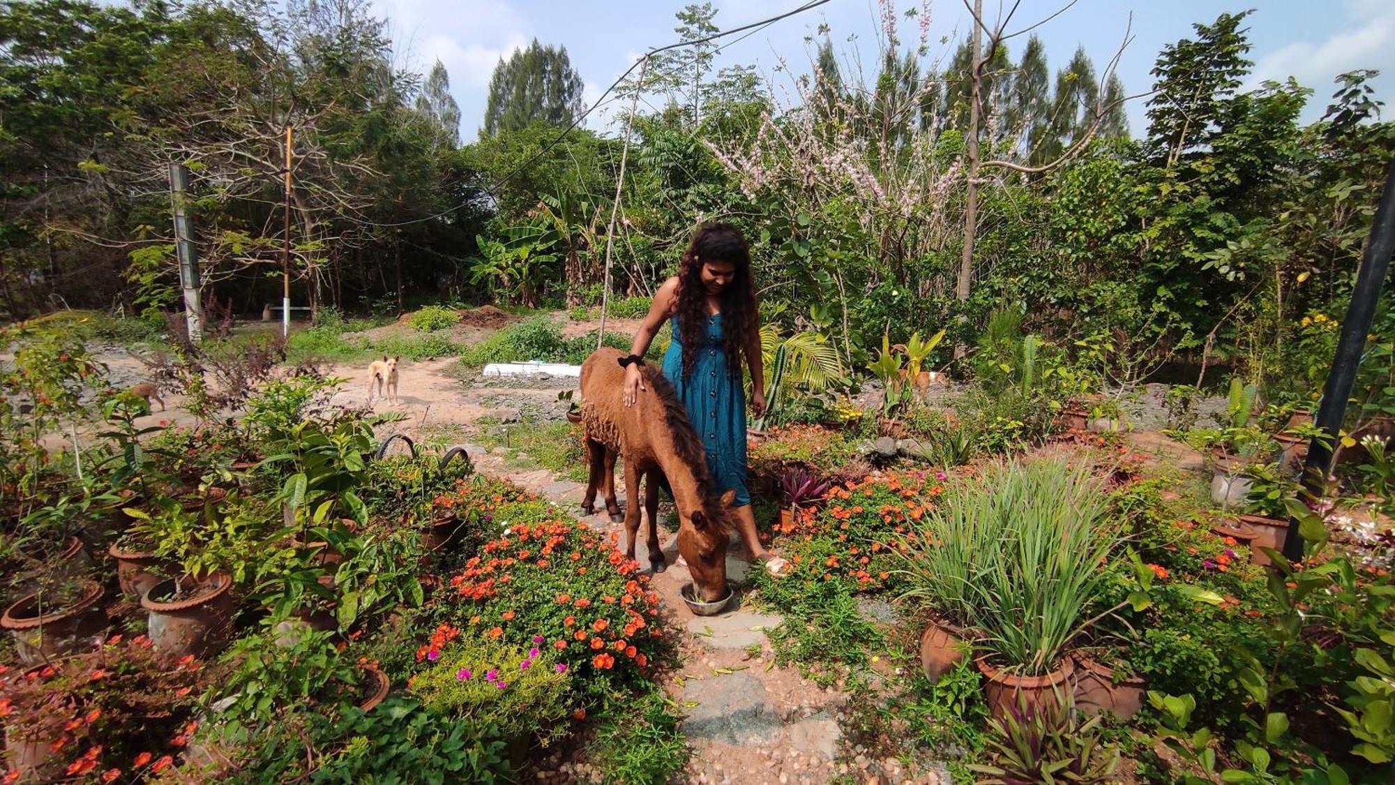 Vaksana Farm Stay Gudraippattu Extérieur photo