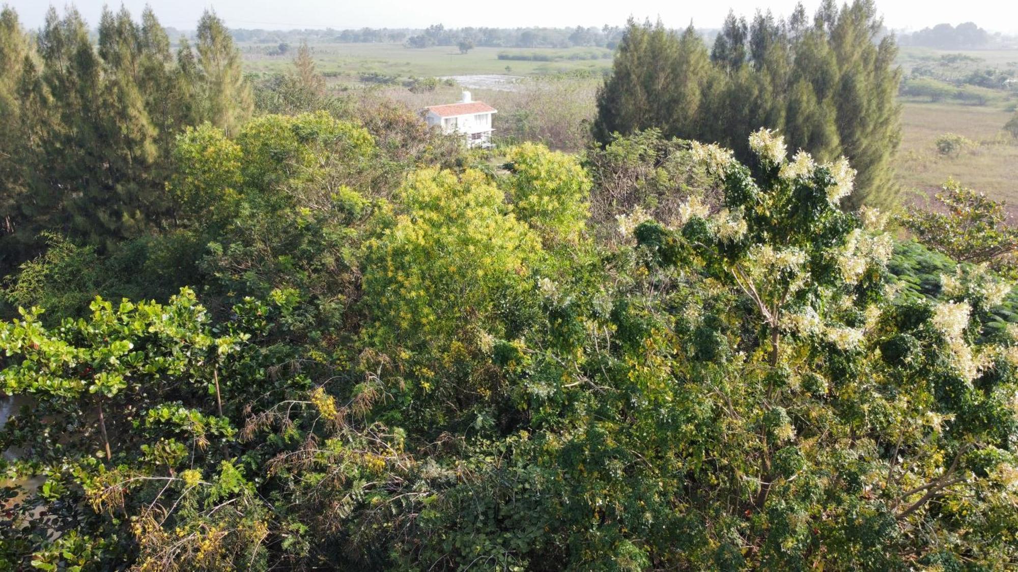 Vaksana Farm Stay Gudraippattu Extérieur photo