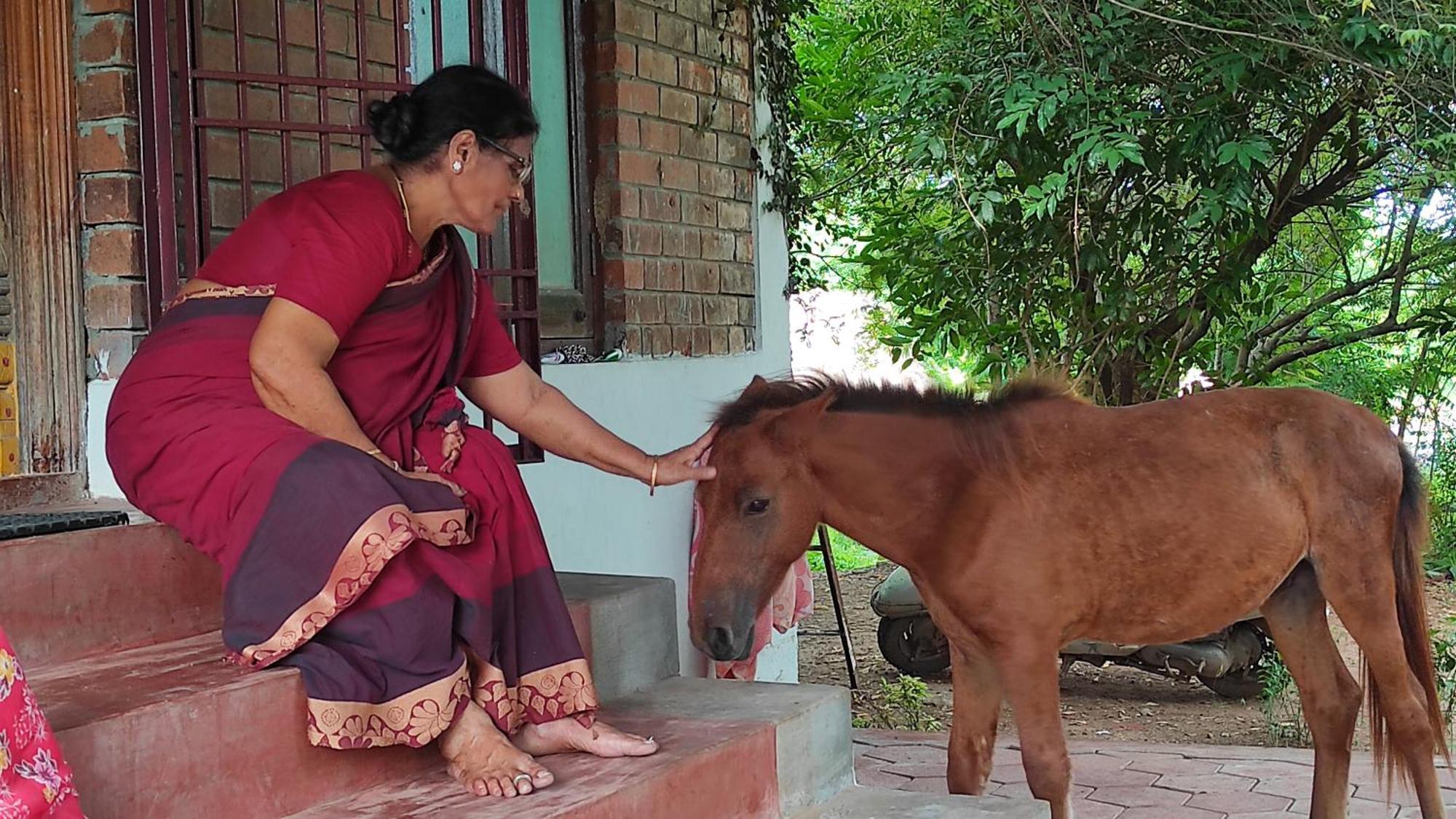 Vaksana Farm Stay Gudraippattu Extérieur photo